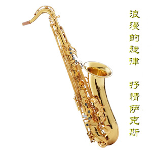 人禽互交50篇视频
