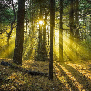 人禽互交50篇视频
